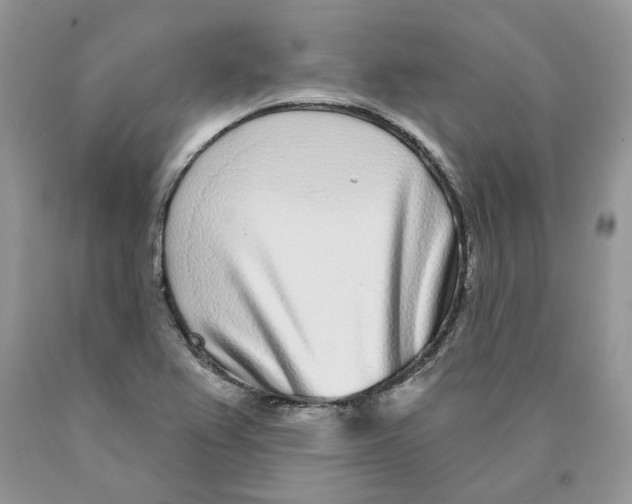 X0000089941367200707271810