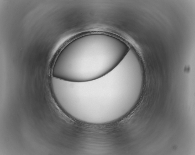 X0000089941368200707271810