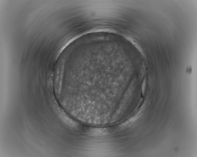 X0000089941369200707271810