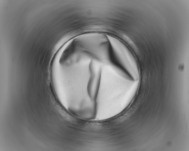 X0000089941370200707271810