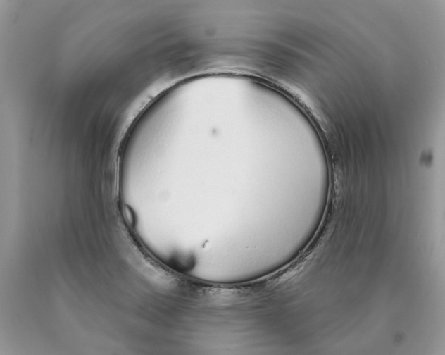 X0000089941371200707271810