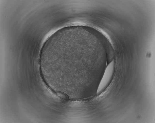 X0000089941373200707271810