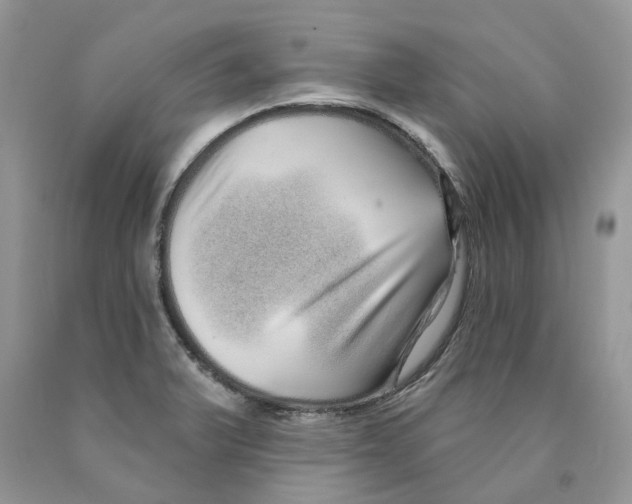 X0000089941375200707271810