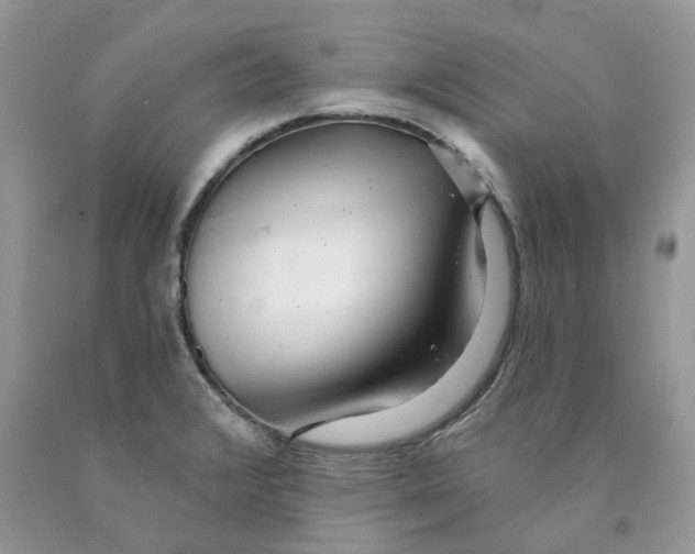 X0000089941376200707271810