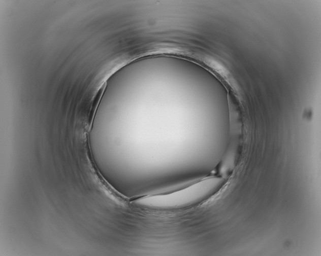 X0000089941377200707271810