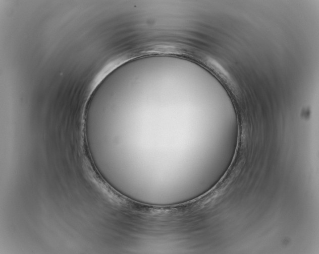 X0000089941378200707271810