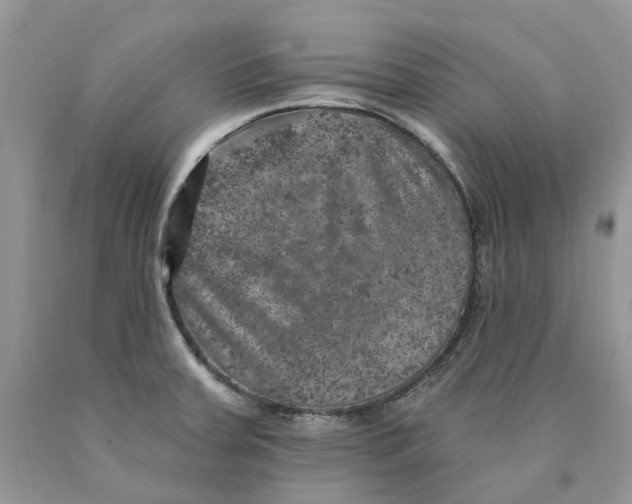 X0000089941379200707271809