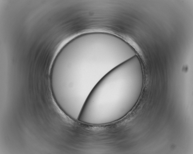 X0000089941380200707271809