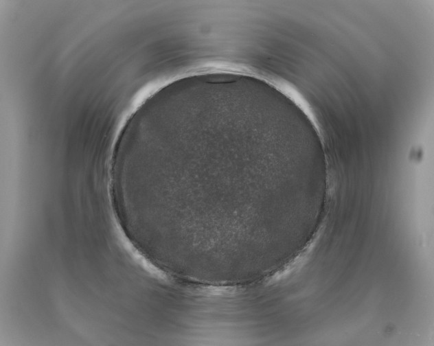 X0000089941381200707271809