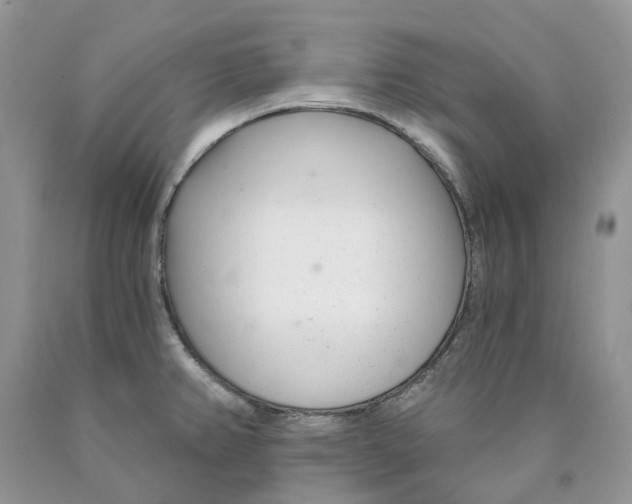 X0000089941382200707271809
