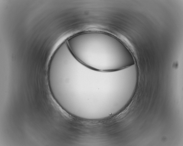 X0000089941384200707271809