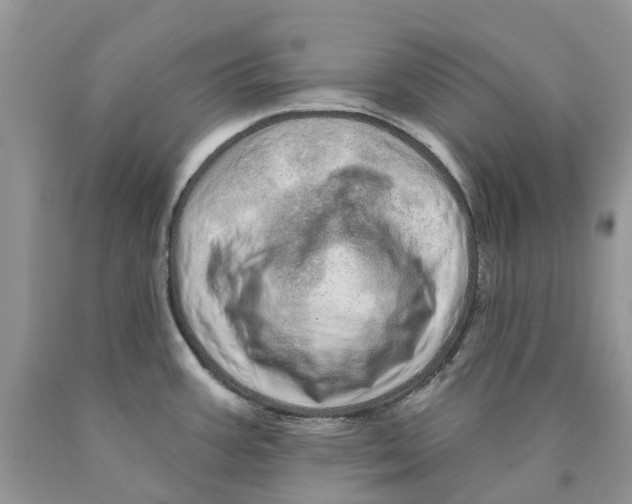 X0000089941387200707271809