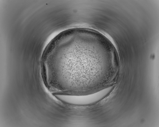 X0000089941389200707271809