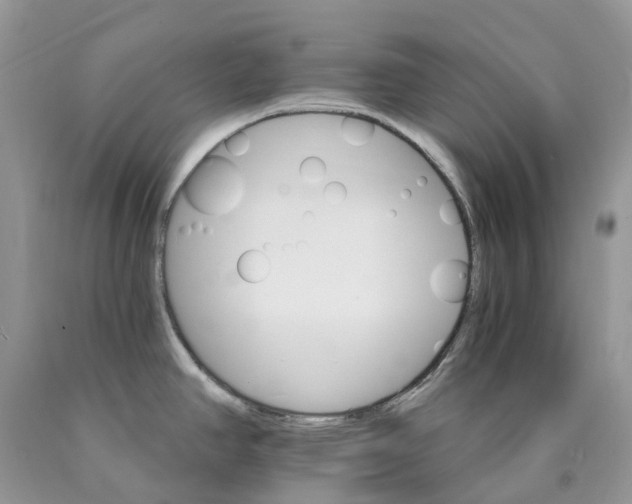 X0000089941390200707271809
