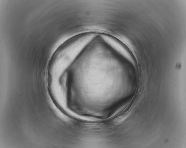 X0000089941391200707271809