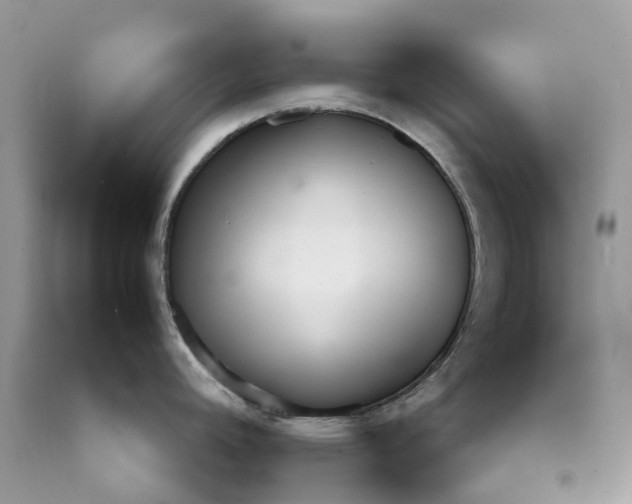 X0000089941392200707271809