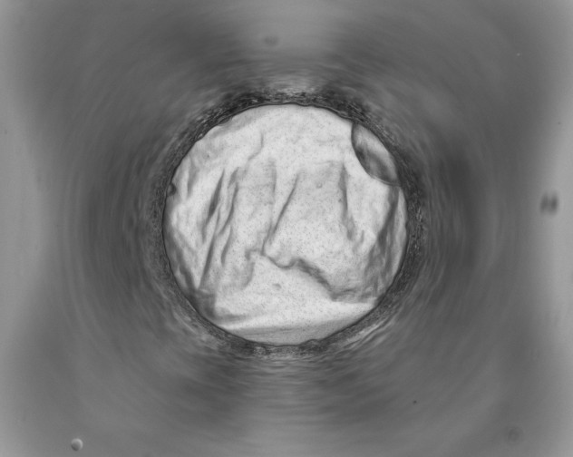 X0000089941393200707271809
