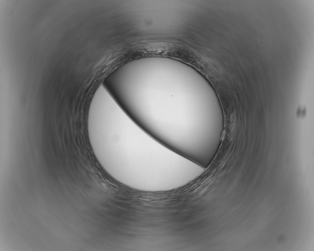 X0000089941394200707271809