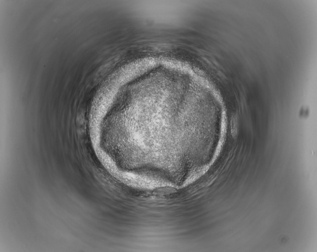 X0000089941395200707271809