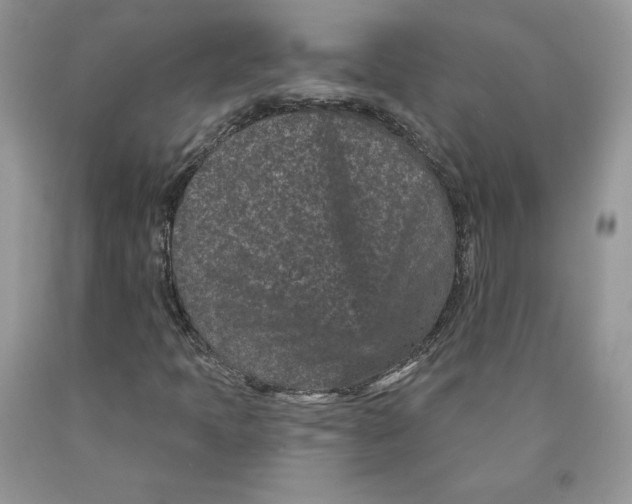 X0000089941397200707271809
