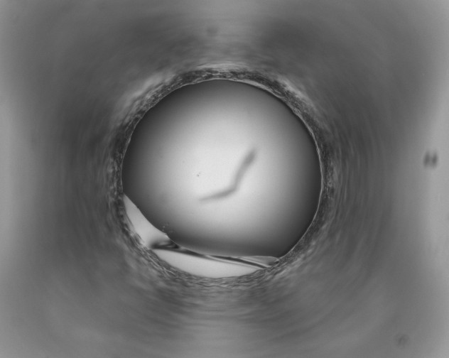 X0000089941398200707271809