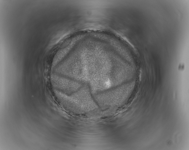 X0000089941399200707271809