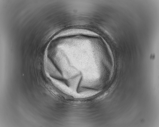 X0000089941401200707271809