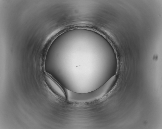 X0000089941402200707271809