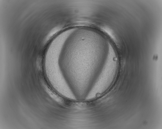 X0000089941403200707271809