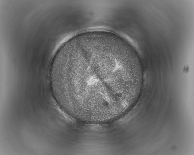 X0000089941405200707271809