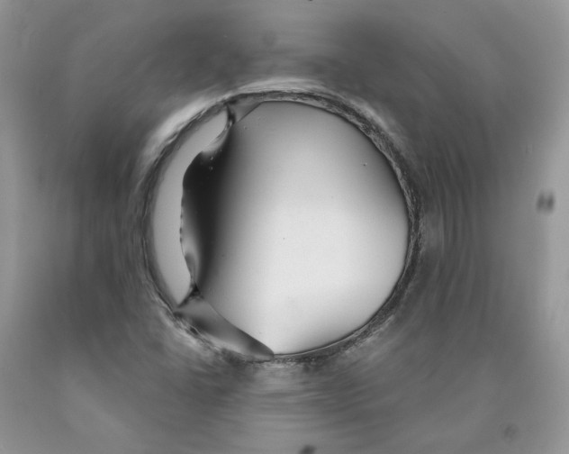 X0000089941406200707271809