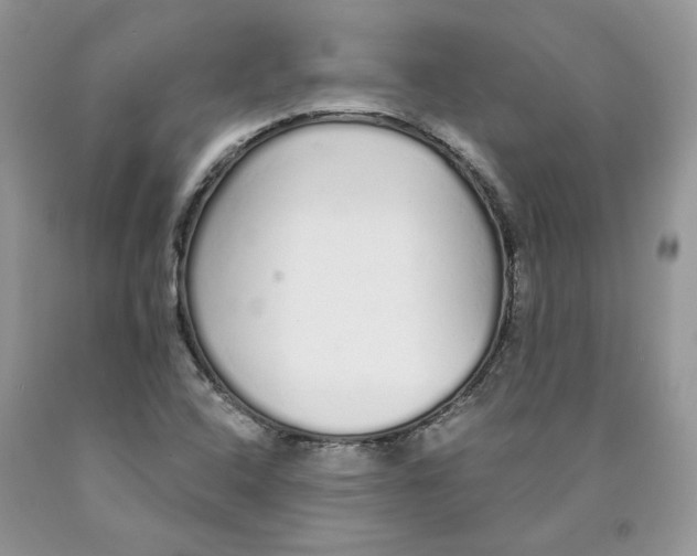 X0000089941408200707271809