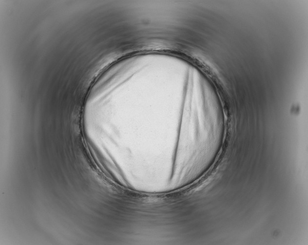 X0000089941409200707271809