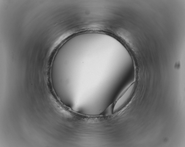 X0000089941410200707271809