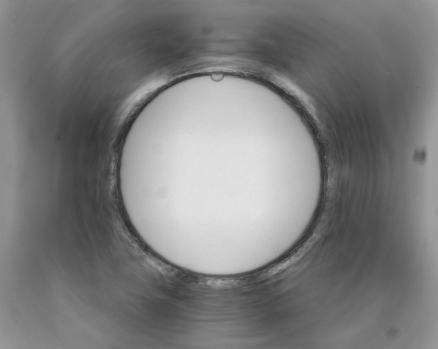 X0000089941411200707271809