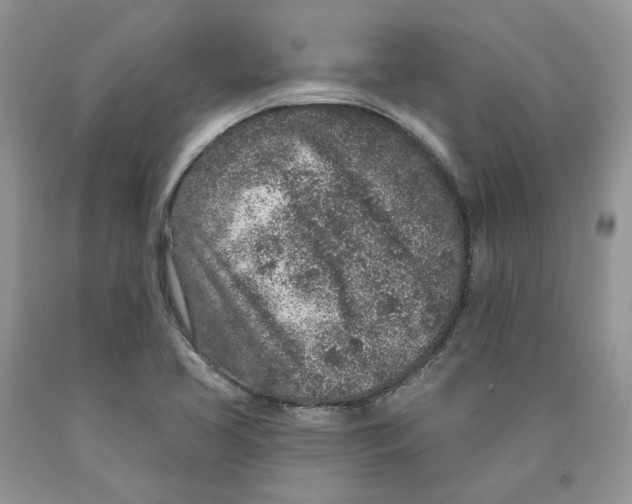 X0000089941413200707271809
