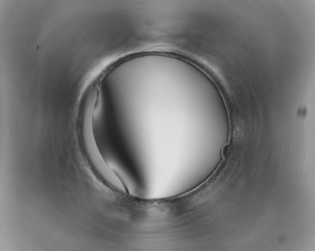 X0000089941414200707271809