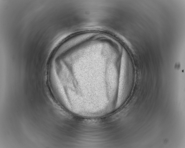 X0000089941415200707271809