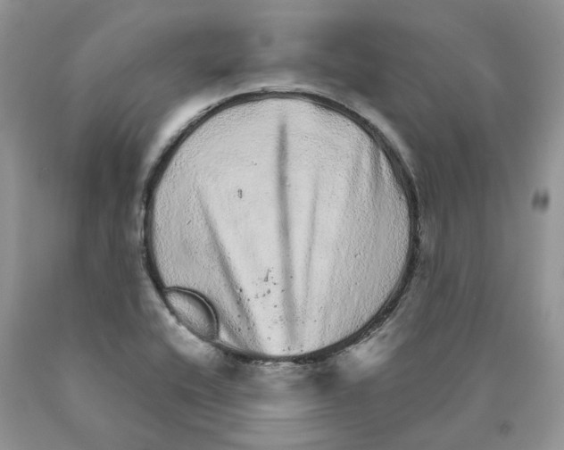 X0000089941416200707271809