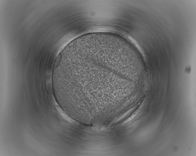 X0000089941417200707271809