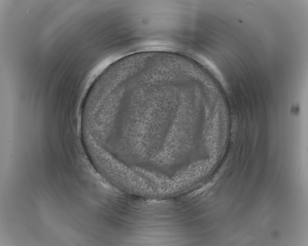 X0000089941419200707271809