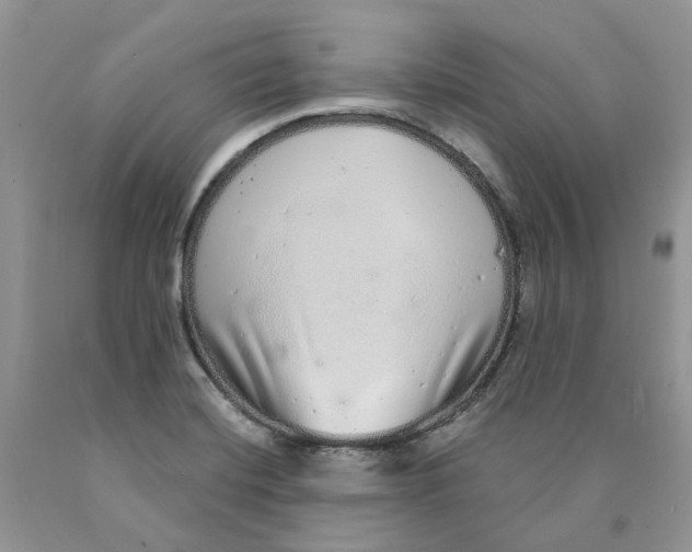X0000089941420200707271809