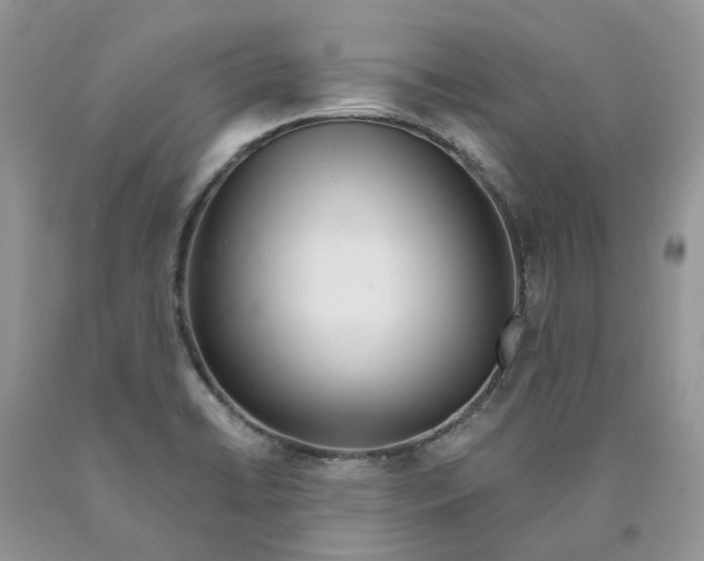 X0000089941422200707271809