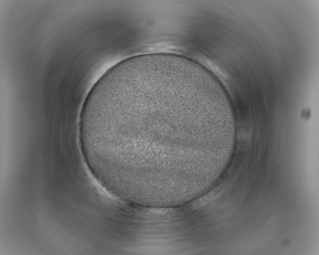 X0000089941423200707271809
