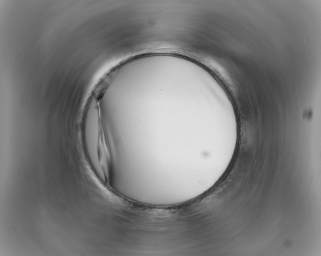 X0000089941424200707271809