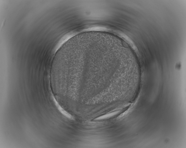 X0000089941425200707271809