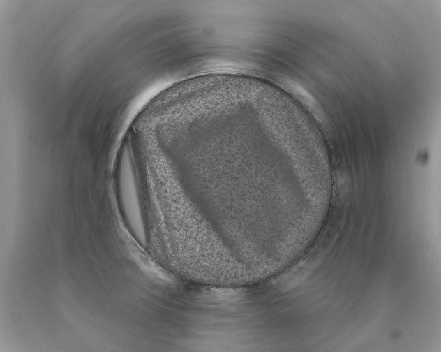 X0000089941427200707271809