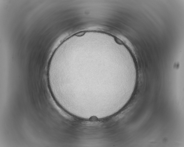 X0000089941429200707271809