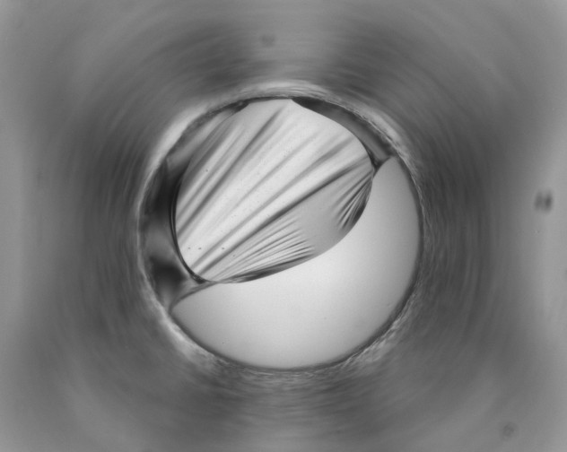 X0000089941430200707271809