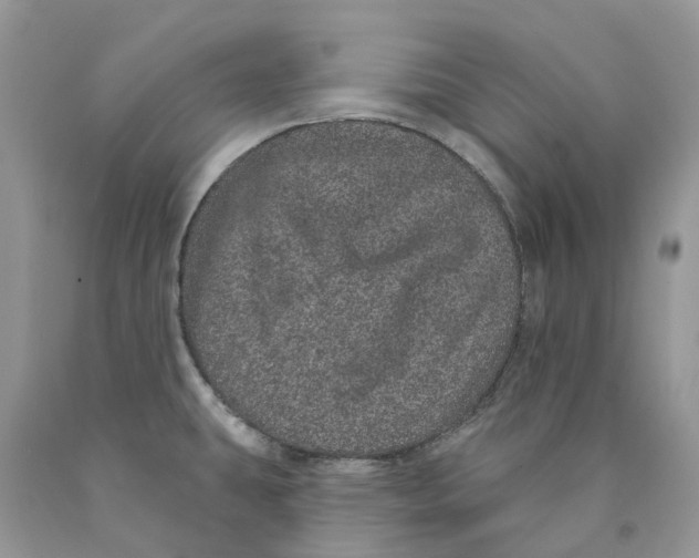 X0000089941431200707271809